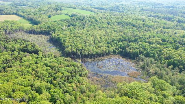 8 Robin Ann Lane, Westerlo, NY 12193