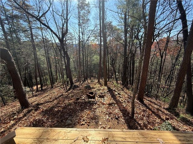 447 Creekview Drive, Ellijay, GA 30536