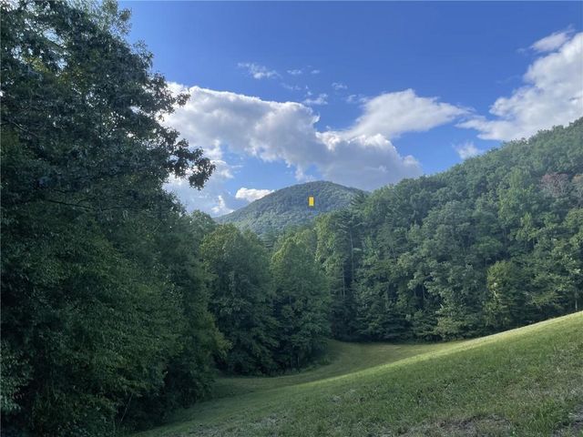 447 Creekview Drive, Ellijay, GA 30536