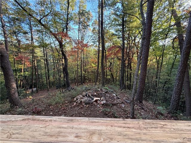 447 Creekview Drive, Ellijay, GA 30536
