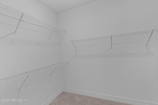 4963 SHELL CREEK Trail, Jacksonville, FL 32226