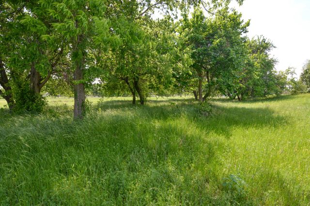 TBD Contrary Creek Road, Granbury, TX 76048