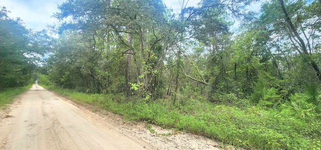 Minnesota Ave, Satsuma, FL 32189