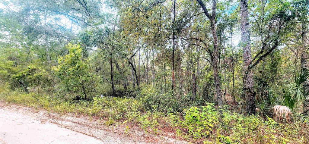 Minnesota Ave, Satsuma, FL 32189