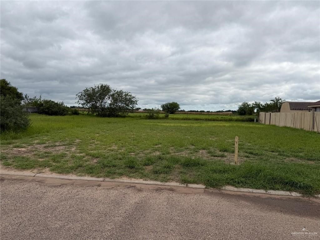 1907 W Diamond Head Avenue, Mission, TX 78573