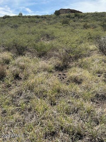 15425 E UPPER RIDGE Lane 411, Mayer, AZ 86333