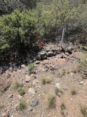 15425 E UPPER RIDGE Lane 411, Mayer, AZ 86333