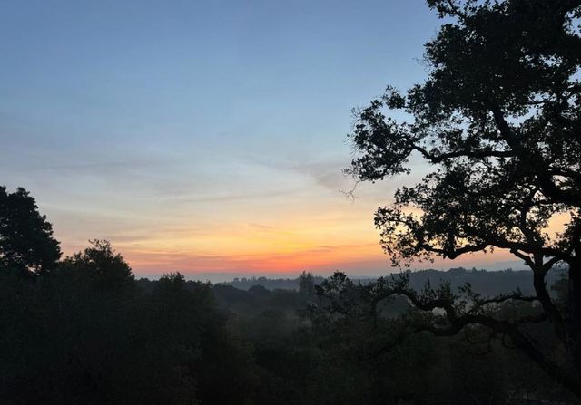 175 Alta Mesa Road, Woodside, CA 94062