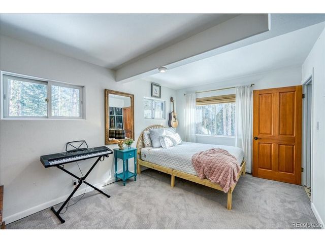 514 Blue Flag Cir, Breckenridge, CO 80424