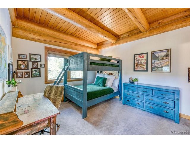 514 Blue Flag Cir, Breckenridge, CO 80424