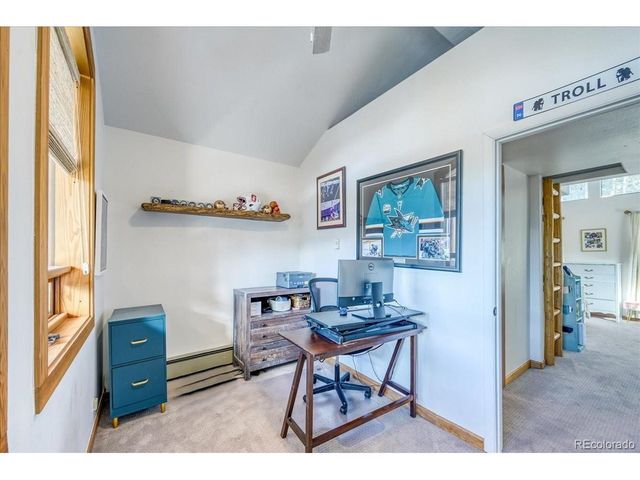 514 Blue Flag Cir, Breckenridge, CO 80424