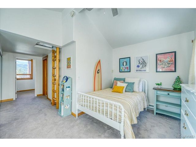 514 Blue Flag Cir, Breckenridge, CO 80424