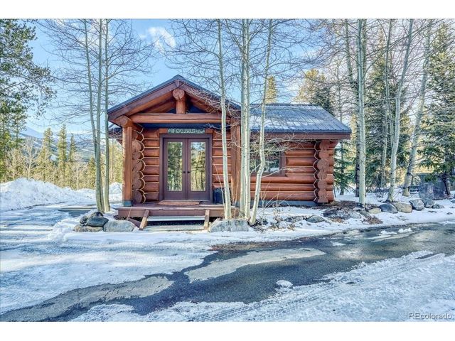 514 Blue Flag Cir, Breckenridge, CO 80424