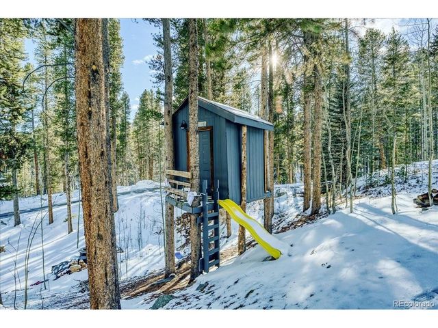 514 Blue Flag Cir, Breckenridge, CO 80424