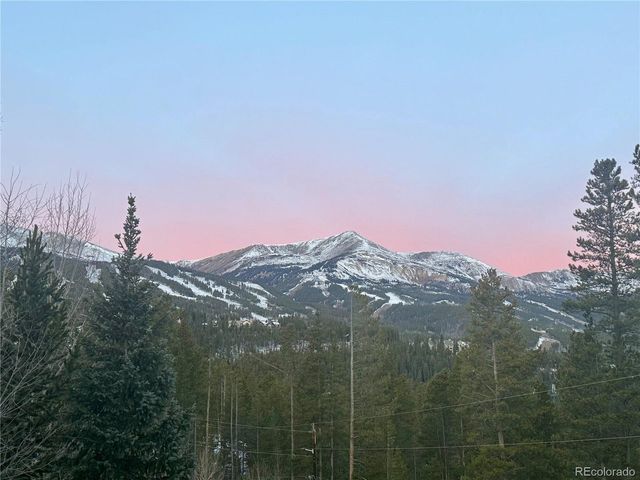 514 Blue Flag Cir, Breckenridge, CO 80424