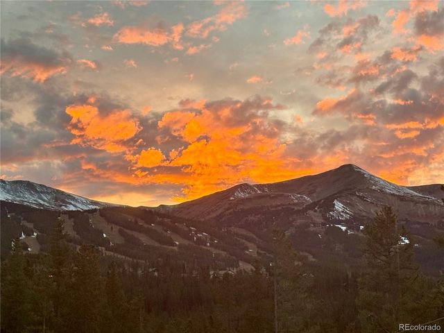 514 Blue Flag Cir, Breckenridge, CO 80424