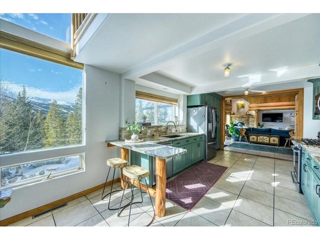 514 Blue Flag Cir, Breckenridge, CO 80424
