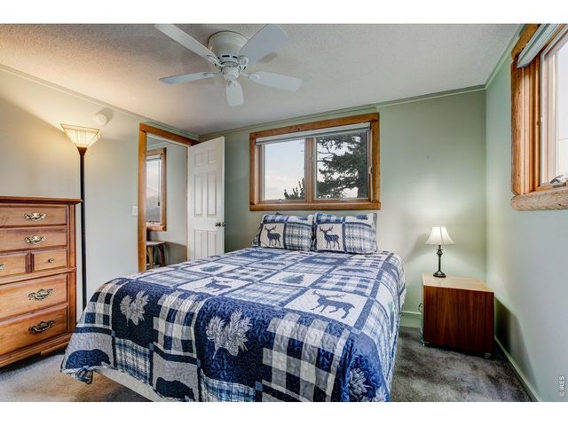 301 Pine Tree Dr, Estes Park, CO 80517