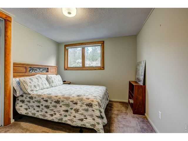 301 Pine Tree Dr, Estes Park, CO 80517