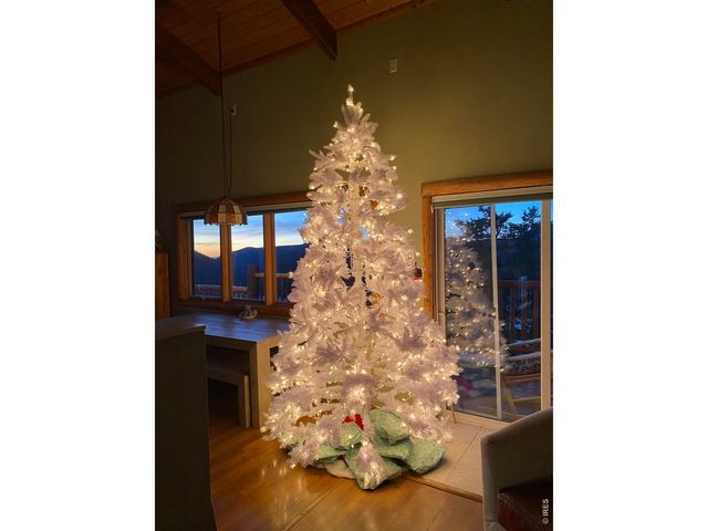 301 Pine Tree Dr, Estes Park, CO 80517