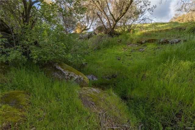 43317 Running Deer Court, Coarsegold, CA 93614