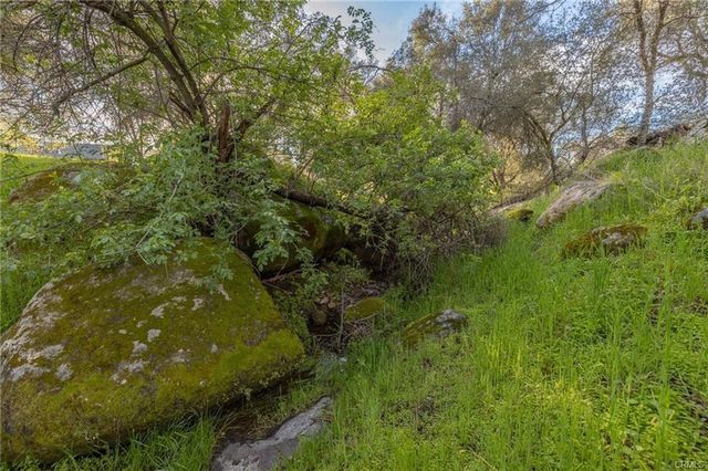 43317 Running Deer Court, Coarsegold, CA 93614