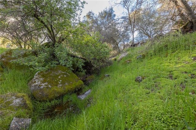 43317 Running Deer Court, Coarsegold, CA 93614