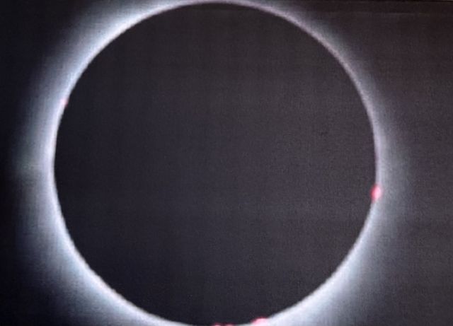 322 Eagle Shore Dr, Dover, TN 37058