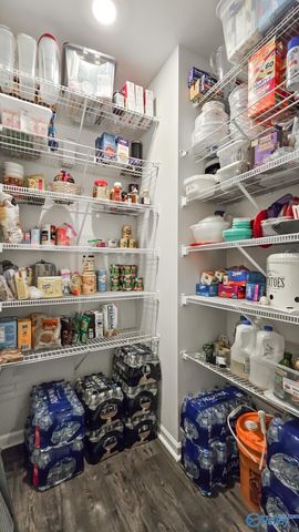 22784 Regent Drive, Athens, AL 35613