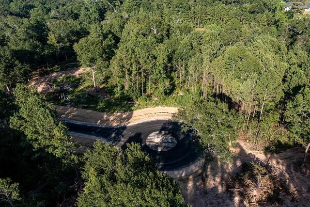 TDB Lot 4 Bellinger Road, Montgomery, TX 77316