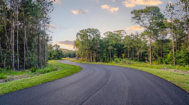 TDB Lot 4 Bellinger Road, Montgomery, TX 77316