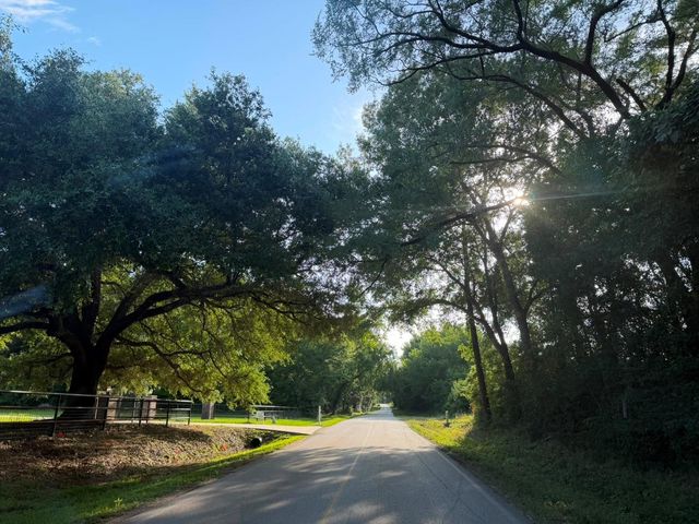 TDB Lot 4 Bellinger Road, Montgomery, TX 77316
