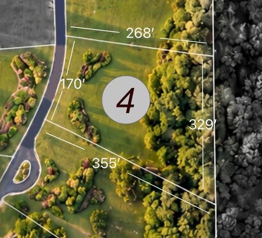 TDB Lot 4 Bellinger Road, Montgomery, TX 77316