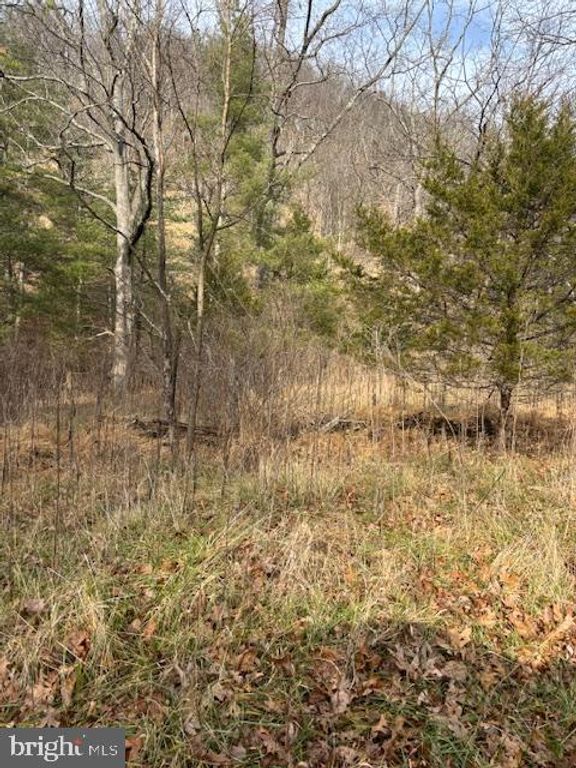Image 1 of property listing at LOT 14 WILDLIFE DR, Lost City, WV 26810