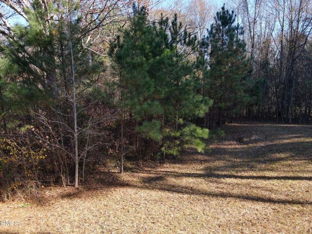 0 Old Halifax Road, Zebulon, NC 27597