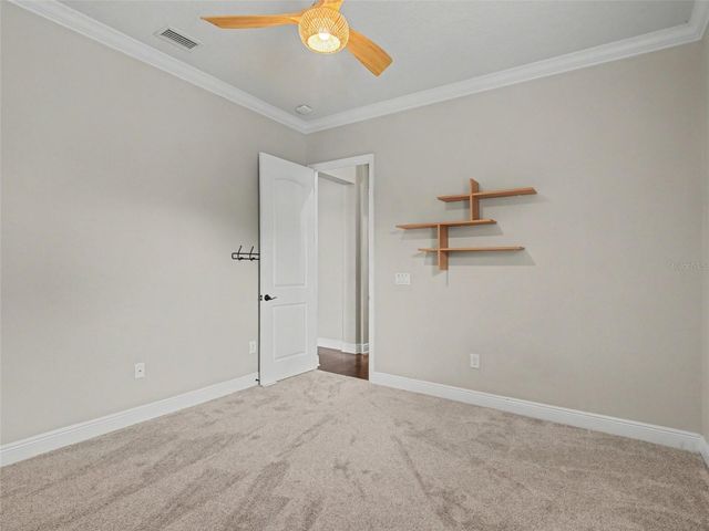 11323 LAKE LUCAYA DRIVE, Riverview, FL 33579