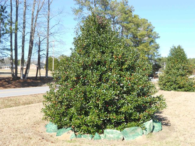 75 Joe Denton Road, Louisburg, NC 27549