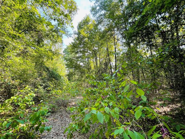 1005 Tx-154, Quitman, TX 75783