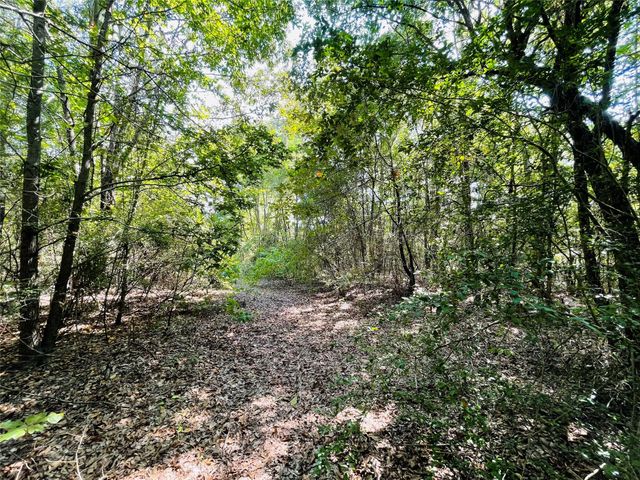 1005 Tx-154, Quitman, TX 75783