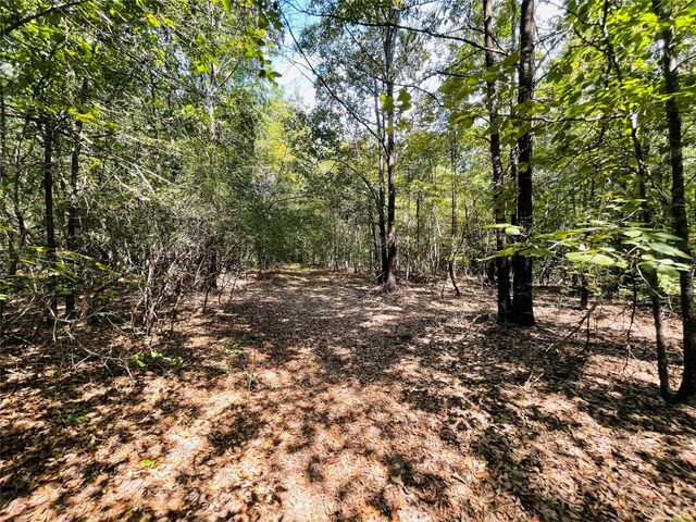 1005 Tx-154, Quitman, TX 75783