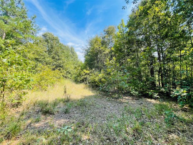 1005 Tx-154, Quitman, TX 75783