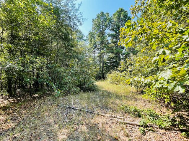 1005 Tx-154, Quitman, TX 75783