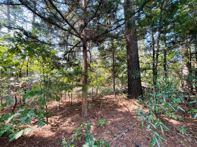 1005 Tx-154, Quitman, TX 75783