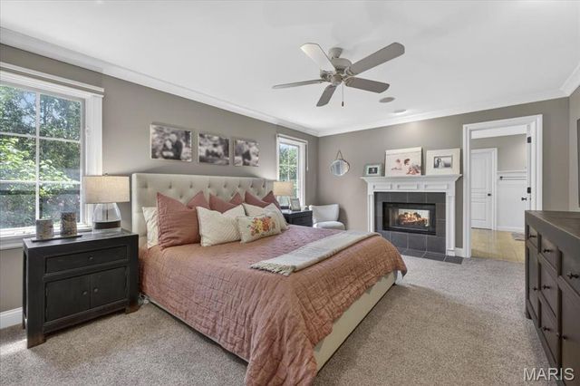 442 Woodlawn Grove Lane, Kirkwood, MO 63122