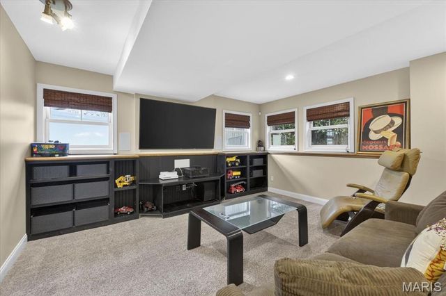 442 Woodlawn Grove Lane, Kirkwood, MO 63122