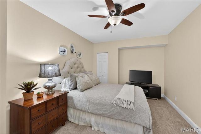 442 Woodlawn Grove Lane, Kirkwood, MO 63122