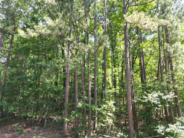 9999 Rockwood Drive, Tumbling Shoals, AR 72546