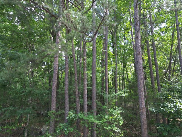 9999 Rockwood Drive, Tumbling Shoals, AR 72546