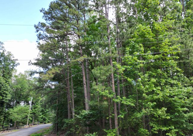 9999 Rockwood Drive, Tumbling Shoals, AR 72546