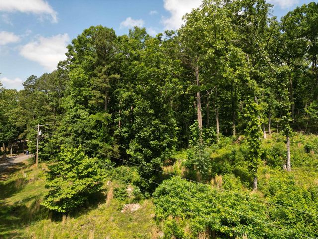 9999 Rockwood Drive, Tumbling Shoals, AR 72546